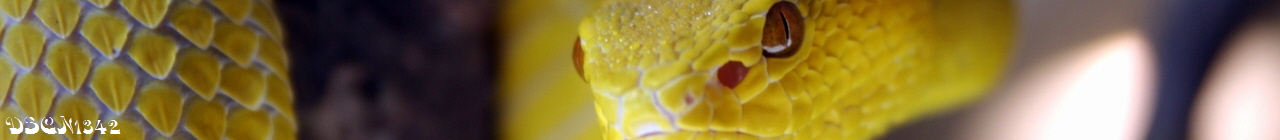 DSCN1342