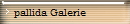 pallida Galerie